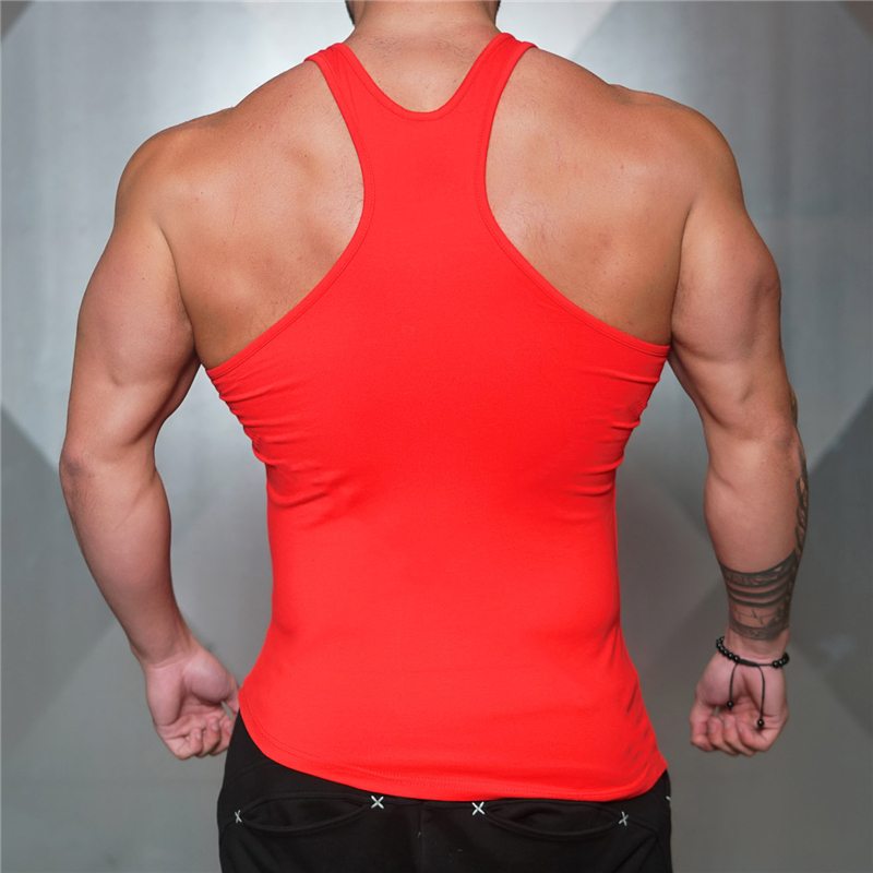 Spor salonu vücut geliştirme k - Muscle Tee Workout incelemesi ve fiyatı